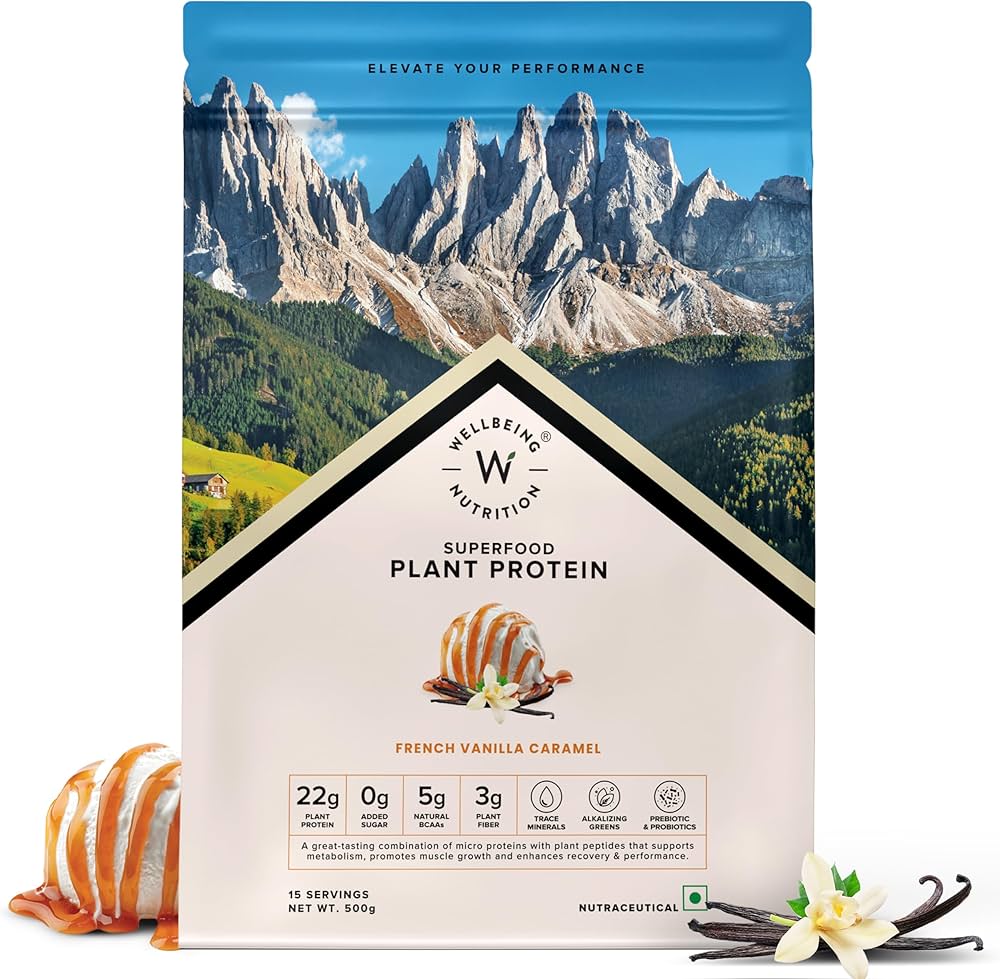 Wellbeing Nutrition Organic Vegan Plant Protein Isolate Powder | 22g Protein| 500gm